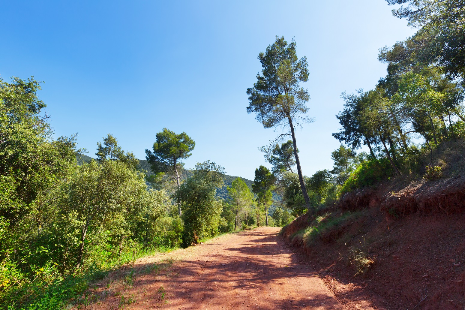 naturaleza castilla leon