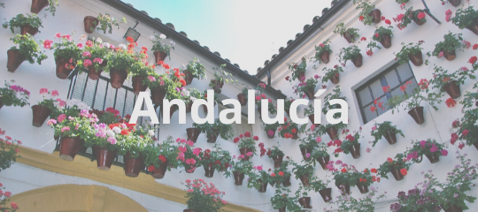 turismo rural para familias en Andalucía