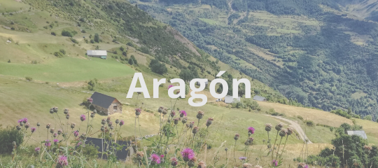 turismo rural para familias en Aragón